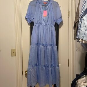 NWT THML blue and white striped dress